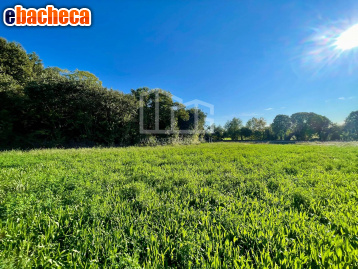terreno agricolo in vendita a Volta Mantovana