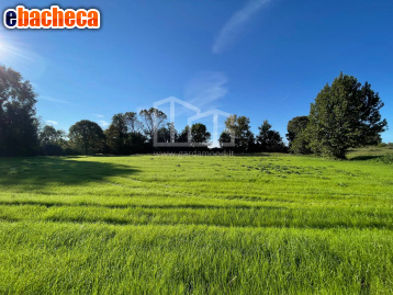 terreno agricolo in vendita a Volta Mantovana