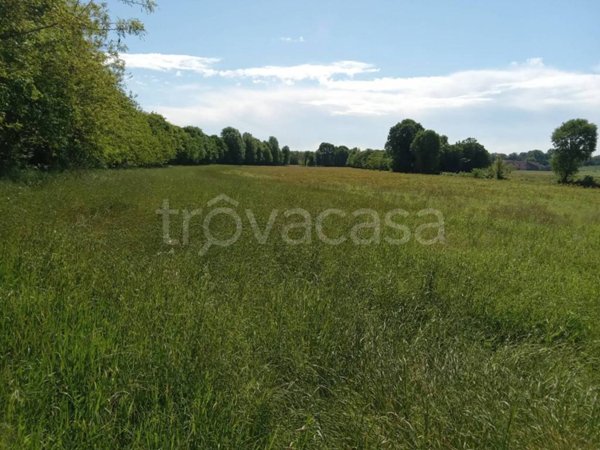 casa indipendente in vendita a Volta Mantovana