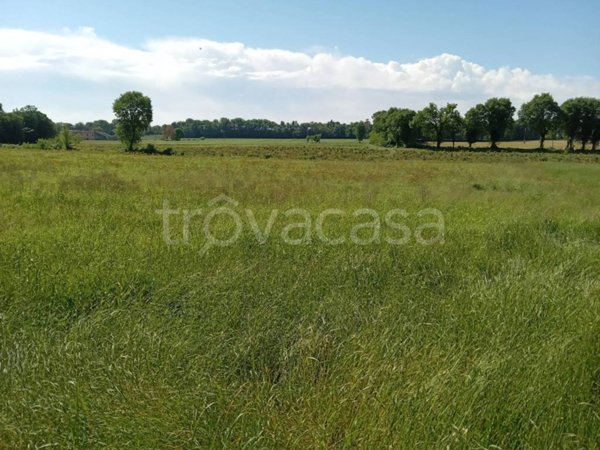 appartamento in vendita a Volta Mantovana