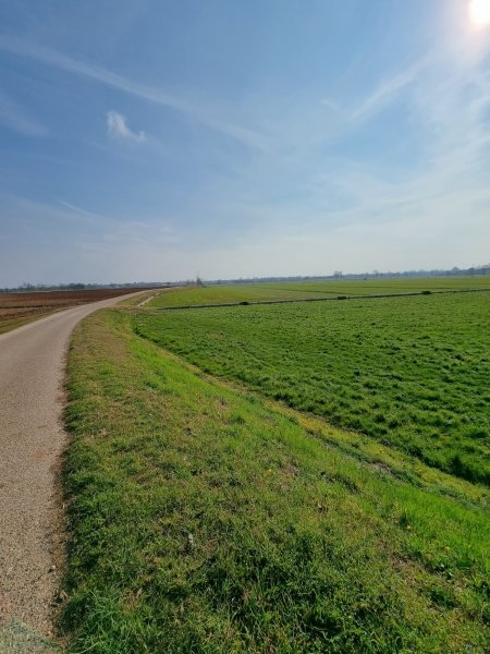 terreno agricolo in vendita a Volta Mantovana