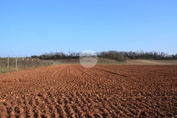 terreno edificabile in vendita a Volta Mantovana in zona Montaldo