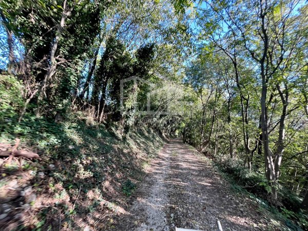 terreno agricolo in vendita a Volta Mantovana