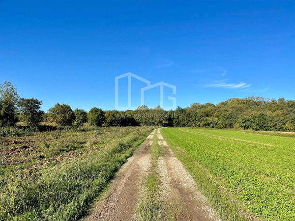 terreno agricolo in vendita a Volta Mantovana