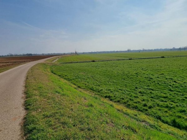 terreno agricolo in vendita a Volta Mantovana
