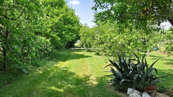 appartamento in vendita a Volta Mantovana