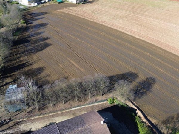 terreno agricolo in vendita a Volta Mantovana
