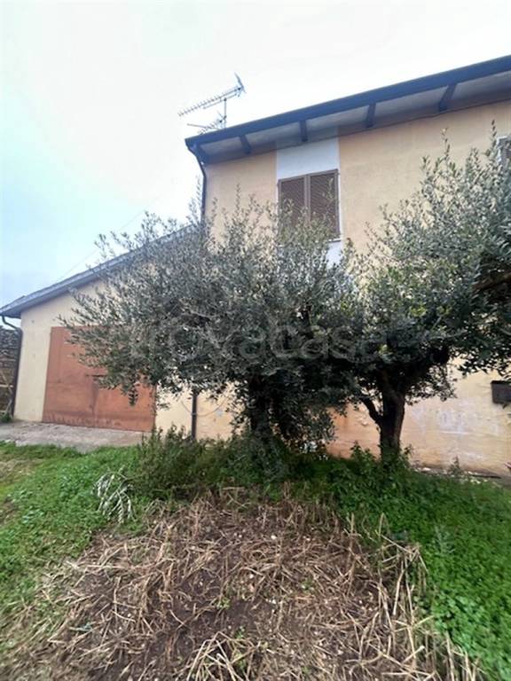 casa indipendente in vendita a Volta Mantovana in zona Foresto
