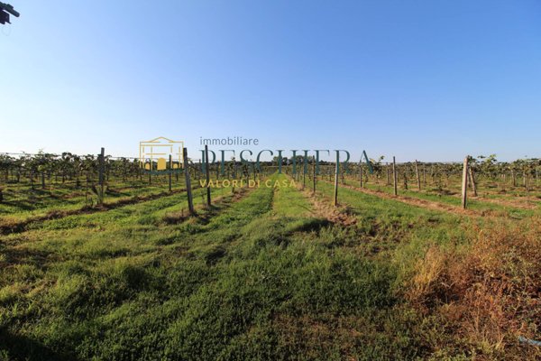 terreno agricolo in vendita a Volta Mantovana