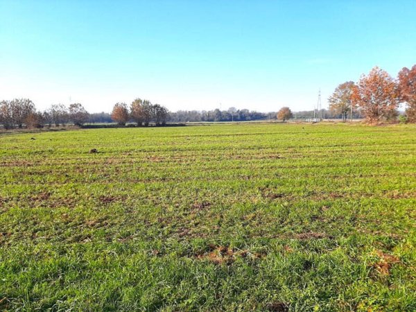 terreno agricolo in vendita a Volta Mantovana