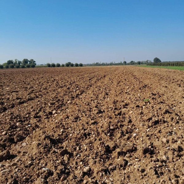 terreno agricolo in vendita a Volta Mantovana