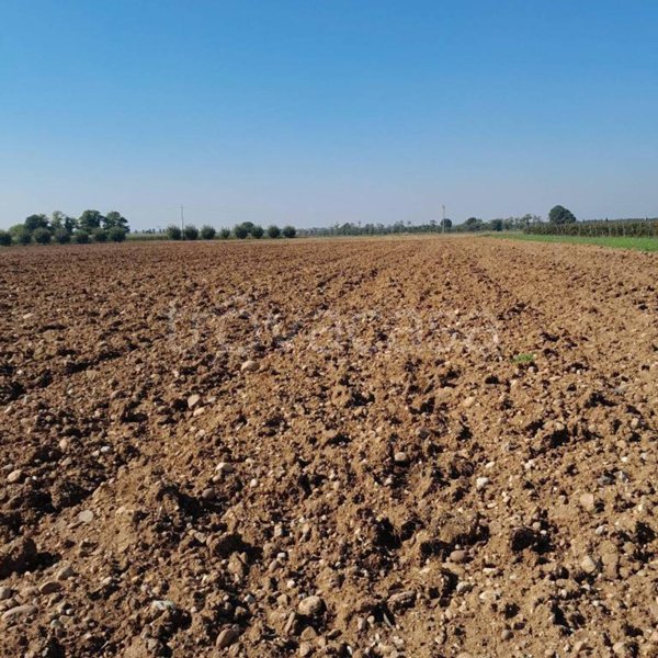 terreno agricolo in vendita a Volta Mantovana
