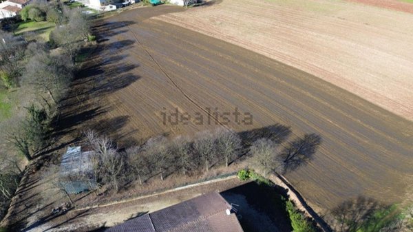 terreno agricolo in vendita a Volta Mantovana