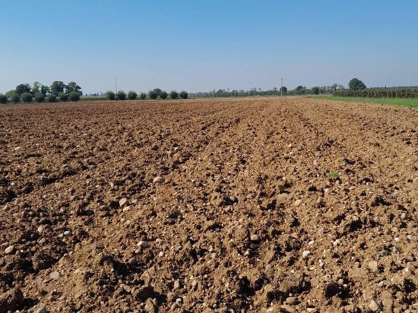 terreno agricolo in vendita a Volta Mantovana in zona Foresto