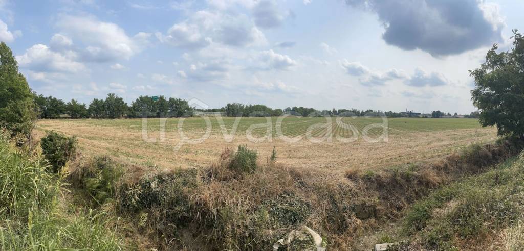 terreno agricolo in vendita a Borgo Virgilio in zona Virgilio