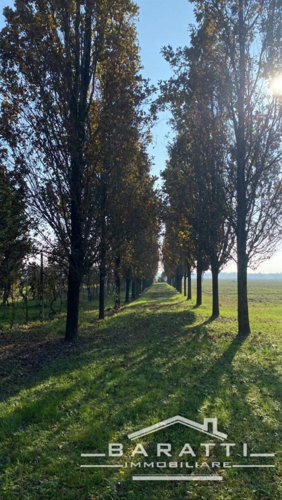 terreno agricolo in vendita a Borgo Virgilio in zona Virgilio