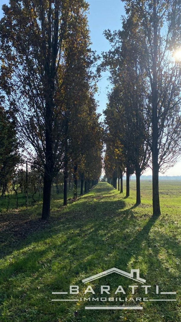 terreno agricolo in vendita a Borgo Virgilio in zona Virgilio
