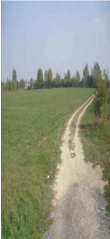 terreno edificabile in vendita a Borgo Virgilio in zona Virgilio