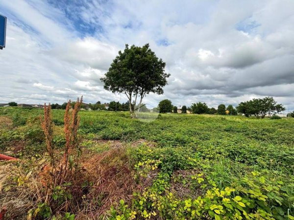 terreno agricolo in vendita a Borgo Virgilio in zona Virgilio