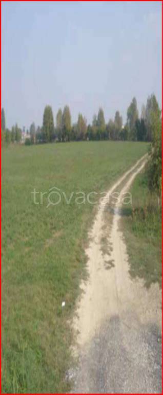 terreno edificabile in vendita a Borgo Virgilio in zona Virgilio