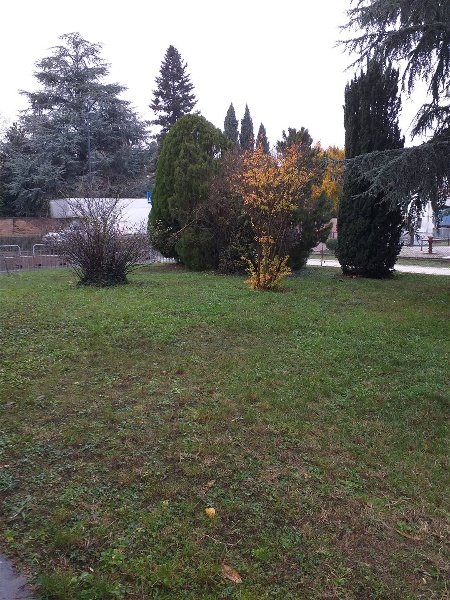 casa indipendente in vendita a Borgo Virgilio in zona Virgilio