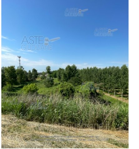 terreno edificabile in vendita a Borgo Mantovano in zona Revere