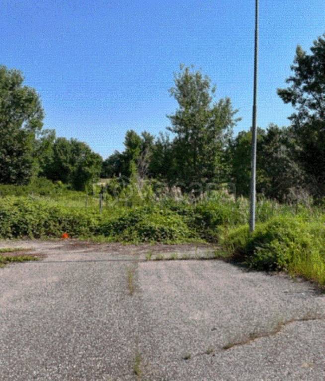 terreno edificabile in vendita a Borgo Mantovano in zona Revere