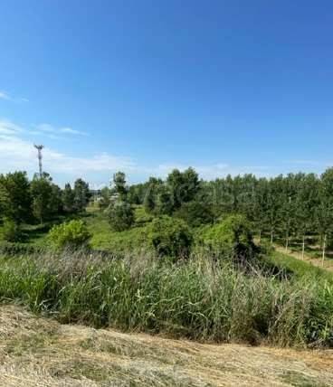 terreno edificabile in vendita a Borgo Mantovano in zona Revere