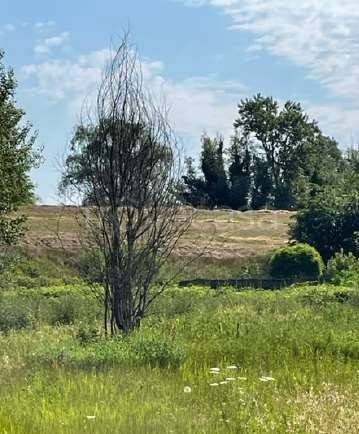terreno edificabile in vendita a Borgo Mantovano in zona Revere