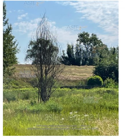 terreno edificabile in vendita a Borgo Mantovano in zona Revere