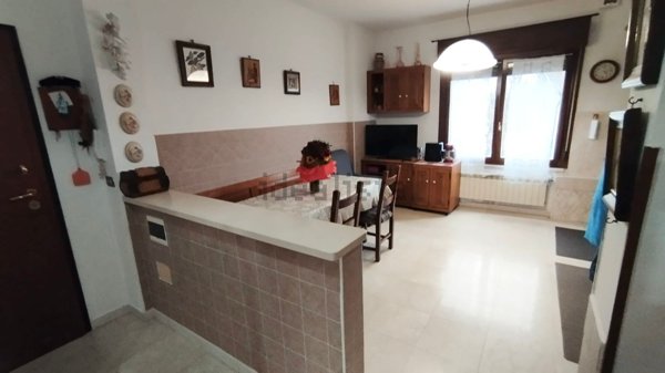 appartamento in vendita a Borgo Mantovano in zona Revere