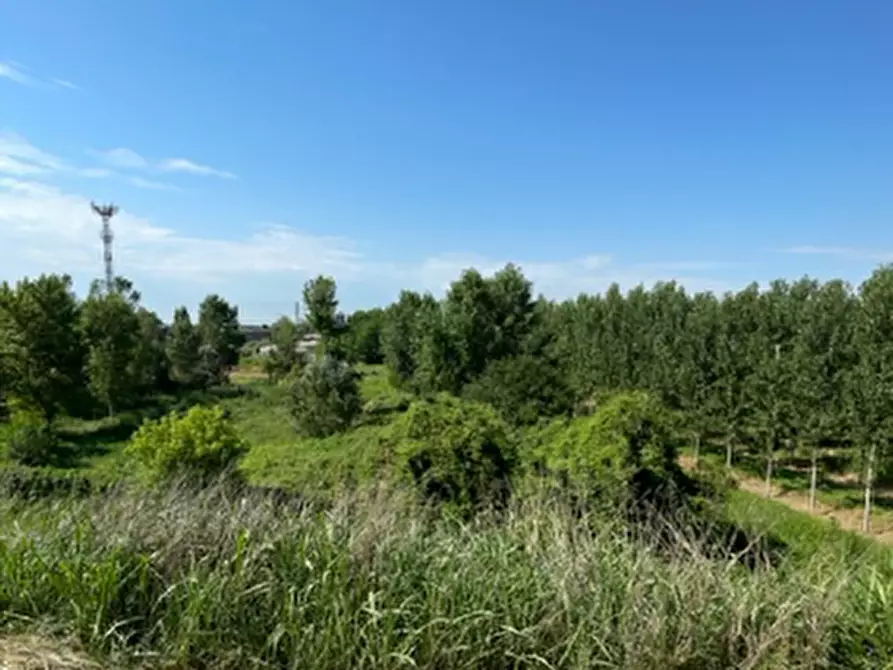 terreno edificabile in vendita a Borgo Mantovano in zona Revere