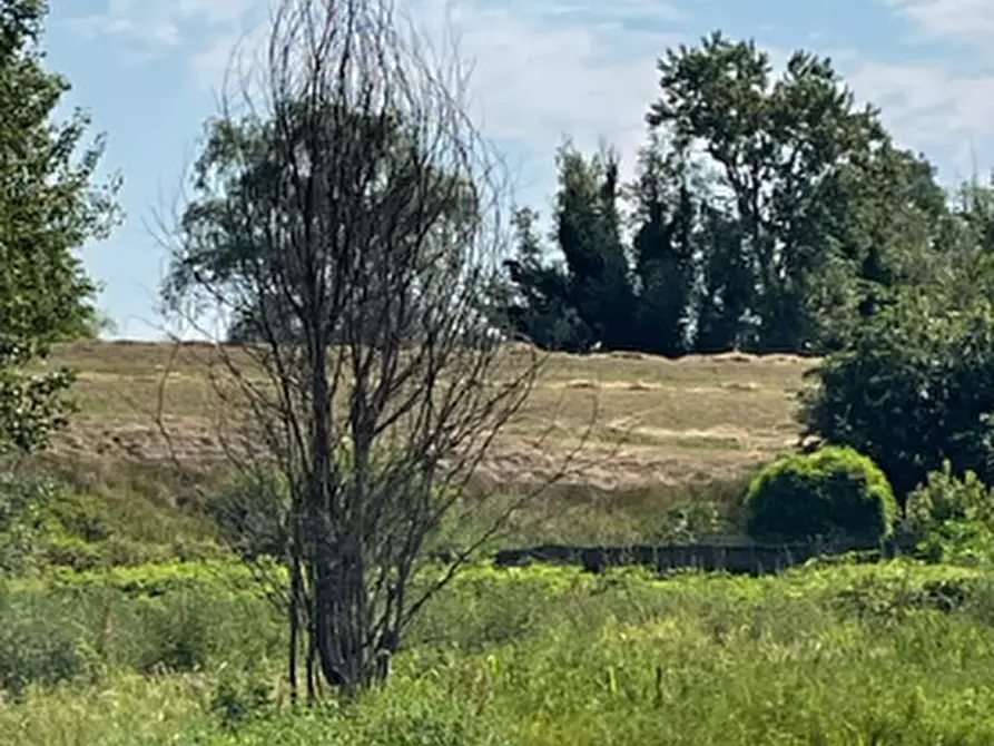 terreno edificabile in vendita a Borgo Mantovano in zona Revere