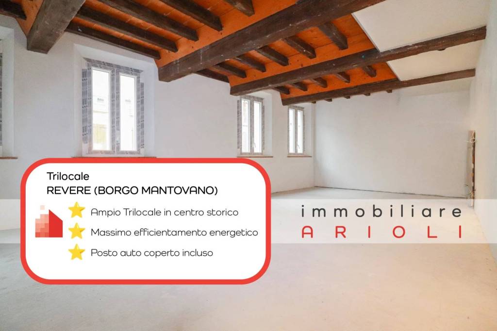 appartamento in vendita a Borgo Mantovano in zona Revere