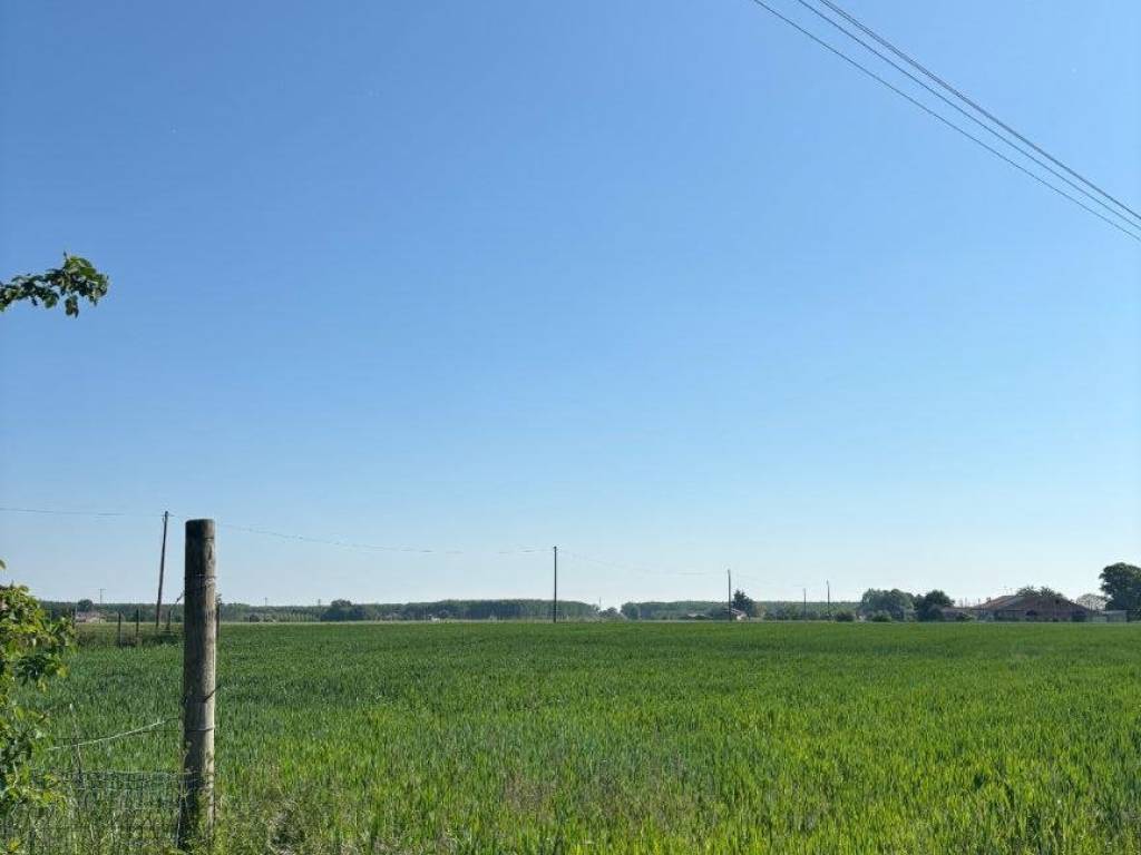 terreno agricolo in vendita a Borgocarbonara
