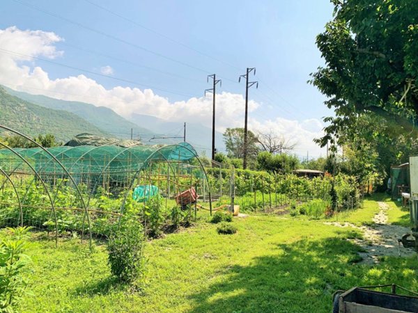 terreno agricolo in vendita a Sant'Antonino di Susa