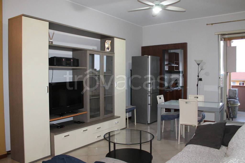 immagine annuncio 0 di 15