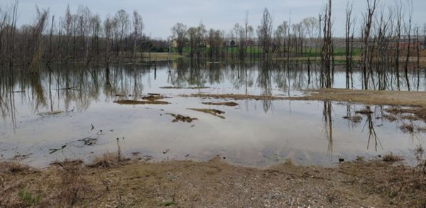 terreno agricolo in vendita a Santena