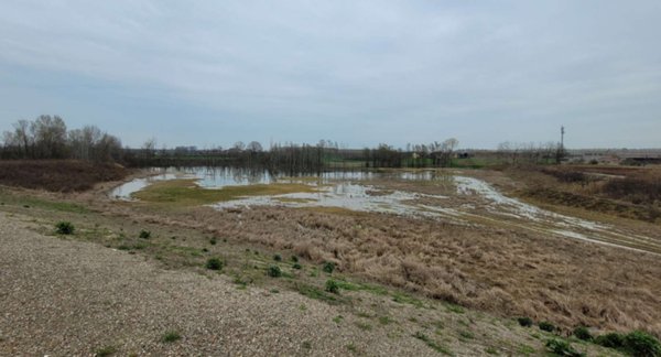 terreno agricolo in vendita a Santena