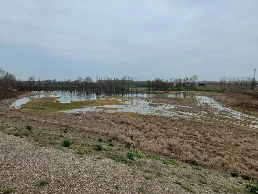 terreno agricolo in vendita a Santena
