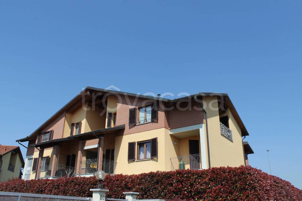 immagine annuncio 0 di 15