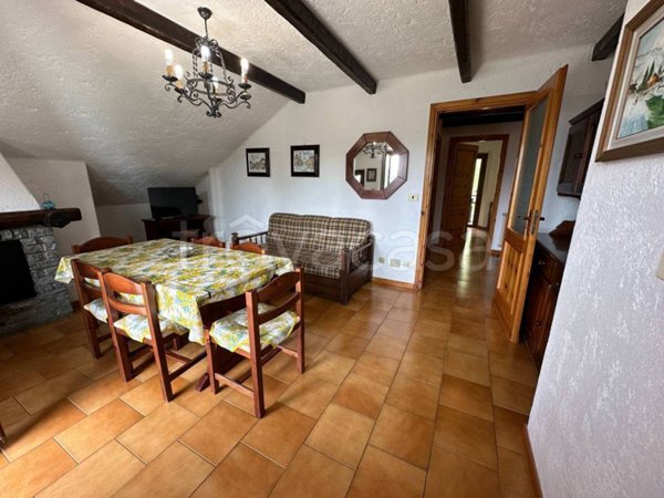 immagine annuncio 0 di 15