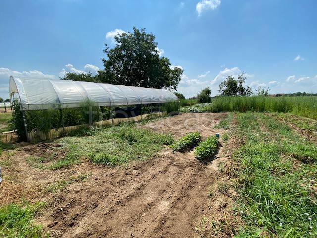 terreno agricolo in vendita a Scalenghe in zona Viotto