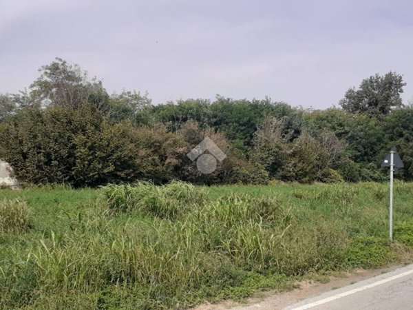 terreno agricolo in vendita a Scalenghe