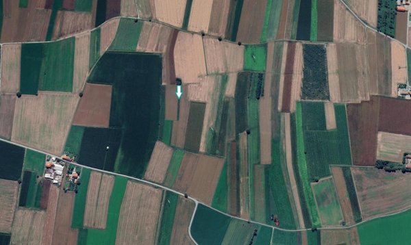 terreno agricolo in vendita a Scalenghe