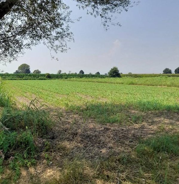terreno agricolo in vendita a Scalenghe