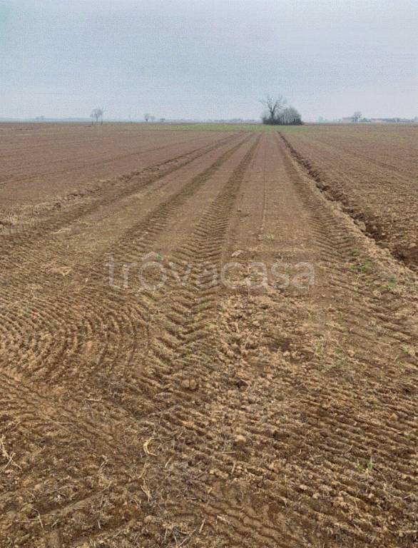 terreno agricolo in vendita a Scalenghe