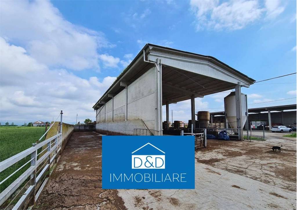 casa indipendente in vendita a Scalenghe