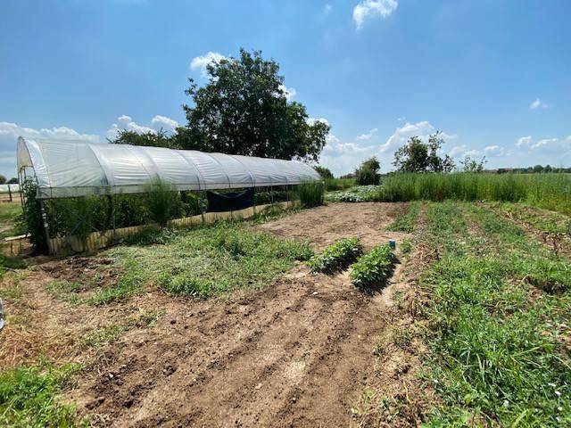 terreno agricolo in vendita a Scalenghe in zona Viotto
