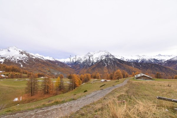 quadrivano in vendita a Sestriere